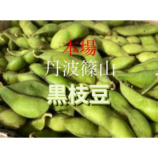 本場！丹波篠山産　黒枝豆　500g(野菜)