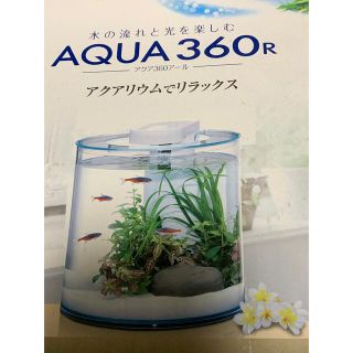 アクアリウム　Aqua360r(アクアリウム)