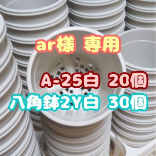 プラ鉢2.5号鉢【A-25】20個 他 スリット鉢 丸 プレステラ 多肉植物(プランター)