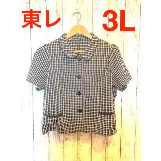 トウレ(東レ)の東レアルファート　トップス　3L 2XL(シャツ/ブラウス(半袖/袖なし))