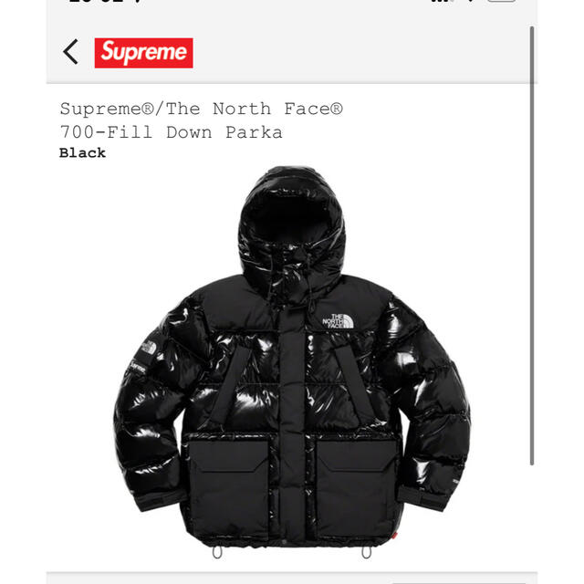 Supreme The North Face700Fill Down Parka