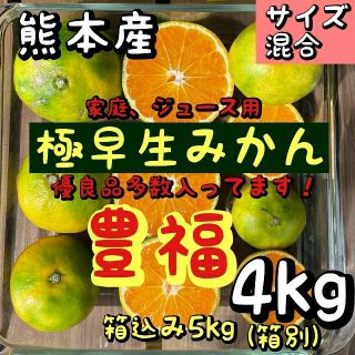 豊福 家庭、ジュース用4kg(フルーツ)