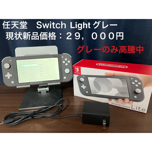 Nintendo Switch スイッチ　ライト LITE グレー