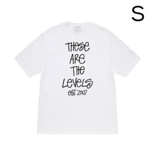 ステューシー(STUSSY)のSTUSSY LEVELS TEE Sサイズ(Tシャツ/カットソー(半袖/袖なし))