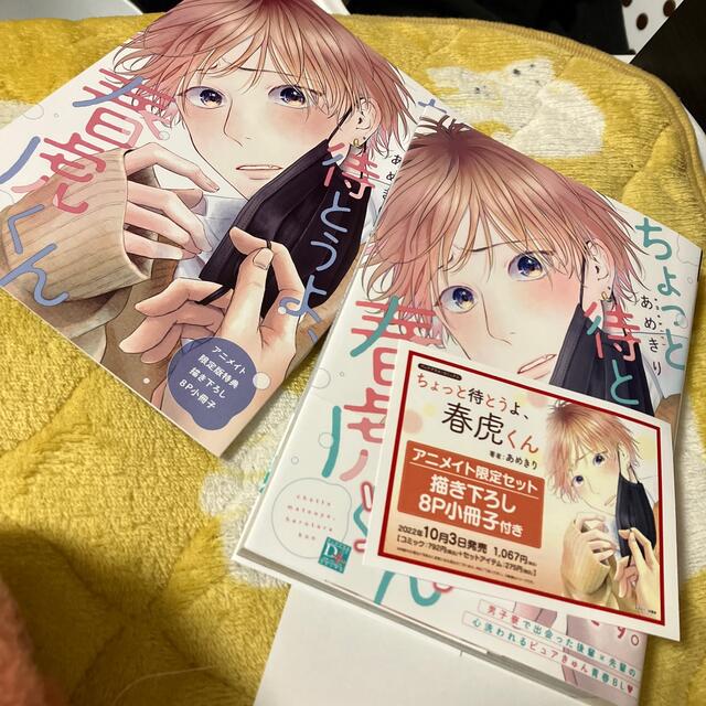 最大65%オフ! 専用 あめきり 先生 ハツコイノオト 新刊 ちょっと待