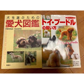 トイ・プ－ドルの飼い方 世界一のおしゃれ犬　愛犬図鑑(住まい/暮らし/子育て)