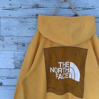 ザノースフェイス(THE NORTH FACE)のTHE NORTH FACE メンズ　プルオーバーパーカー　 L a3p(パーカー)