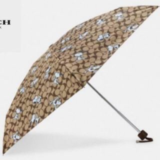 コーチ(COACH) スヌーピー 日傘/雨傘の通販 22点 | コーチのレディース コーチ(COACH) スヌーピー 日傘/雨傘の通販 22点 | コーチのレディース