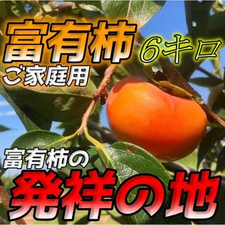 完全甘柿!!『岐阜県産のご家庭用富有柿』6キロ(フルーツ)