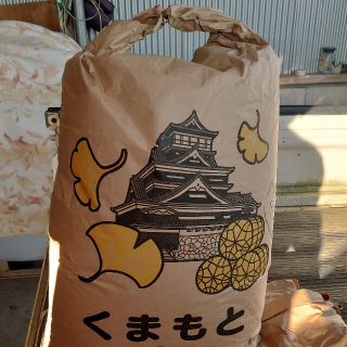 令和4年　ヒノヒカリ　新米　5kg 熊本県(米/穀物)