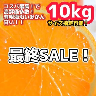 1極早生 みかん 10kg 数量限定 コスパ最高みかん◎ 農家直送で美味(フルーツ)