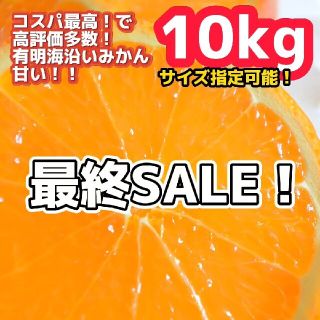 2極早生 みかん 10kg 数量限定 コスパ最高みかん◎ 農家直送で美味(フルーツ)