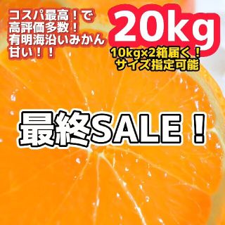 ②極早生 みかん 20kg！10kgよりもお得！コスパ最高 農家直送(フルーツ)