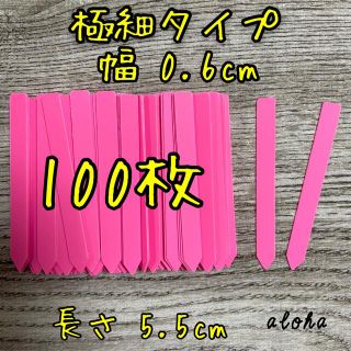 ピンク　100枚 多肉植物 アガベ サボテンに◎ 園芸用 ラベル ネームラベル(その他)