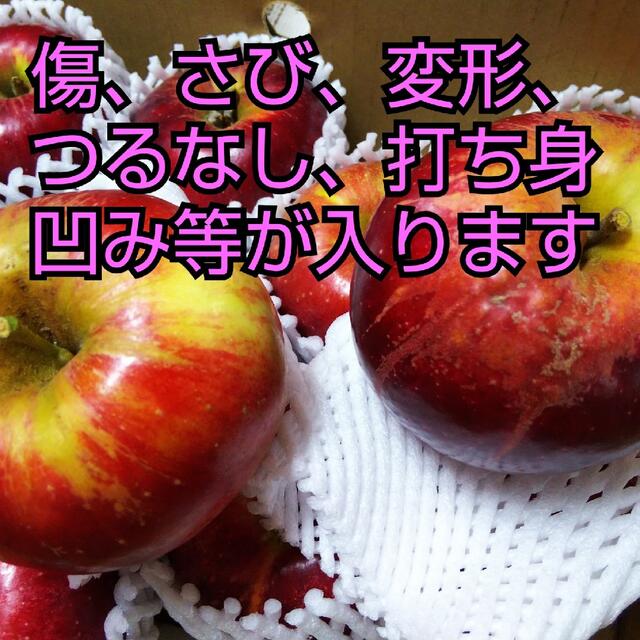 紅玉りんご小玉16個家庭用 食品/飲料/酒の食品(フルーツ)の商品写真