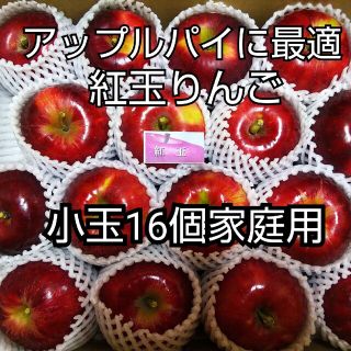 紅玉りんご小玉16個家庭用(フルーツ)