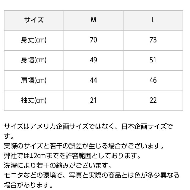 ポロラルフローレン メンズ Tシャツ Lサイズ(日本サイズXL程度) 未使用品
