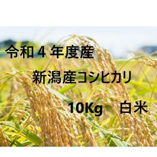 新潟産コシヒカリ10キロ(米/穀物)