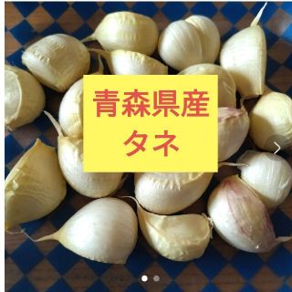 タネにんにく✾150g✾ニンニク(野菜)