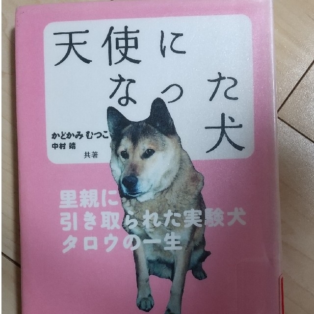 天使になった犬 里親に引き取られた実験犬タロウの一生 エンタメ/ホビーの本(絵本/児童書)の商品写真