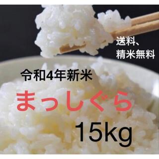 【令和4年度新米】まっしぐら　精米無料　15kg(米/穀物)