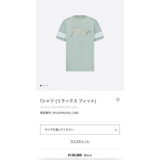 クリスチャンディオール(Christian Dior)のDior シャツ　定価13万(Tシャツ/カットソー(半袖/袖なし))