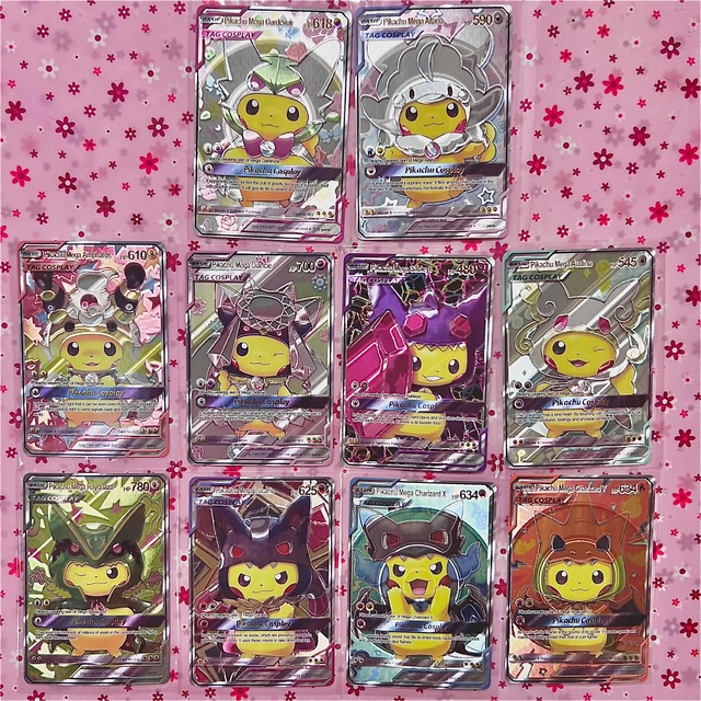 ポンチョを着たピカチュウ その他 | endageism.com