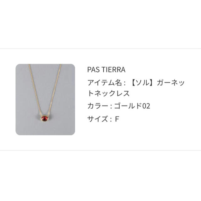PAS TIERRA    ガーネットネックレス