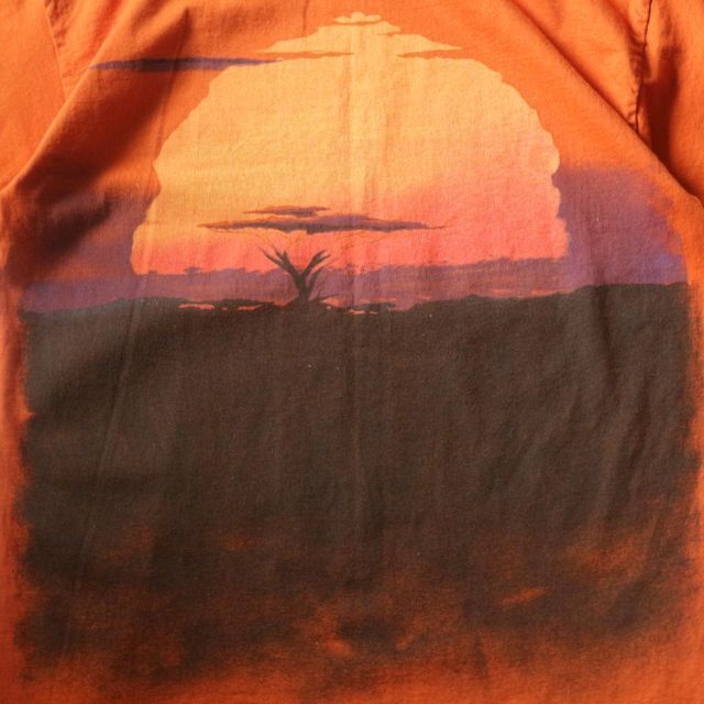 Tシャツ/カットソー(半袖/袖なし)超希少 美品 90s ライオンキング アメリカ製 Tシャツ ヴィンテージ 茶
