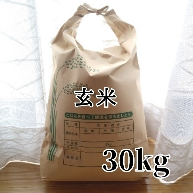 新米【令和4年産】コシヒカリ〔玄米〕30kg　栃木県産　米/穀物