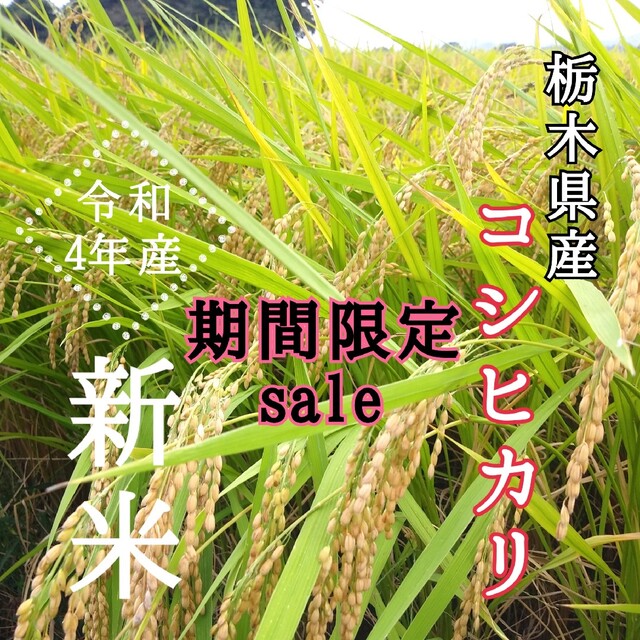 栃木県産　新米【令和4年産】コシヒカリ〔玄米〕24kg　米/穀物