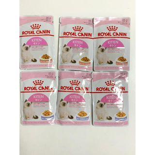 ロイヤルカナン(ROYAL CANIN)のロイヤルカナン　ウェットフード　キトン　ゼリー　グレービー(猫)