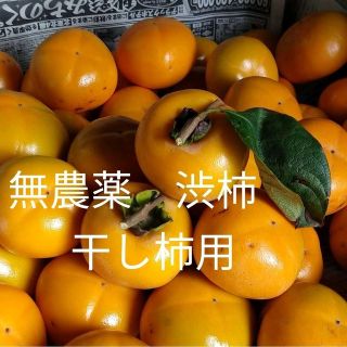 無農薬栽培　渋柿　約10kg　Ｔ字カット済(フルーツ)