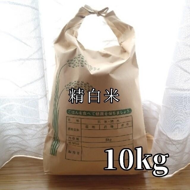 栃木県産　新米【令和4年産】コシヒカリ〔精白米〕10kg 食品/飲料/酒の食品(米/穀物)の商品写真