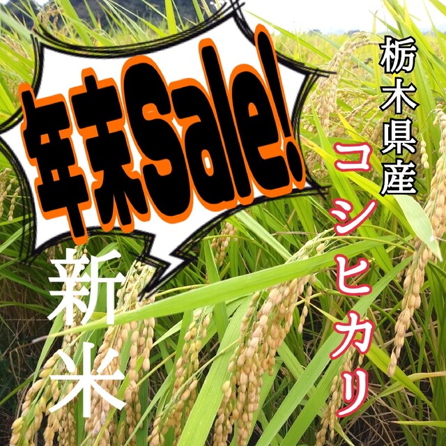 栃木県産　新米【令和4年産】コシヒカリ〔精白米〕5kg 食品/飲料/酒の食品(米/穀物)の商品写真