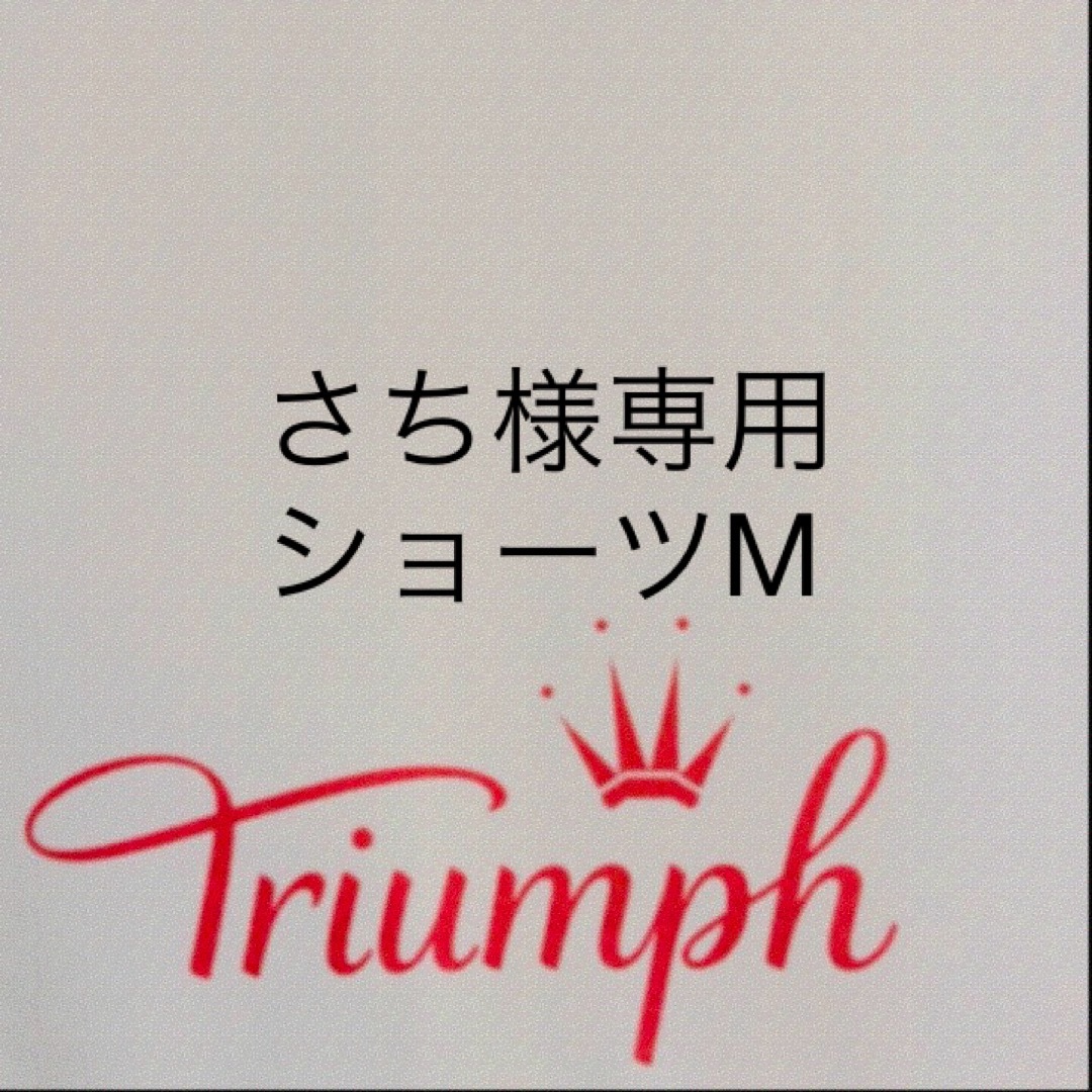 Triumph(トリンプ)の【新品タグ付】triumph／PREMIUMブラ・C75L（定価¥11,330） レディースの下着/アンダーウェア(ブラ&ショーツセット)の商品写真