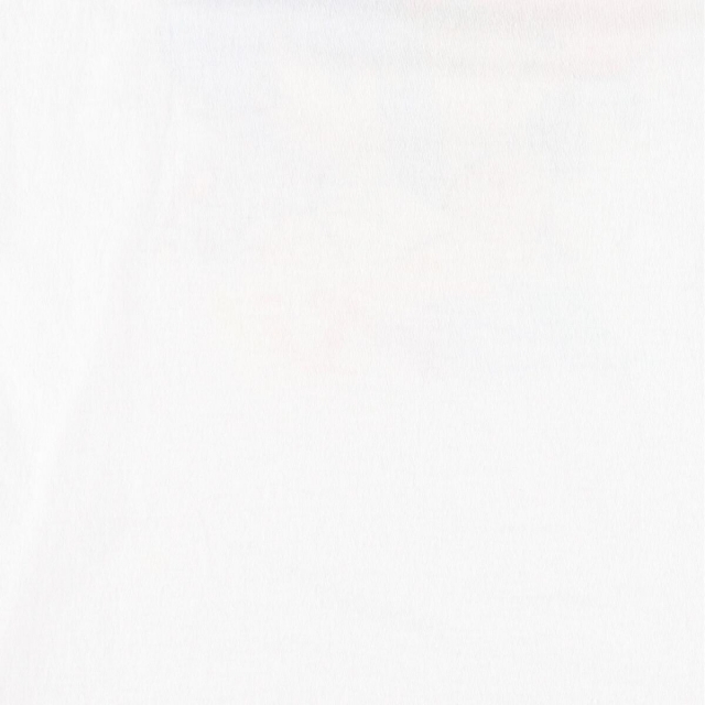 80年代 ヘインズ Hanes ダーティペア ケイ ユリ キャラクタープリントTシャツ USA製 レディースXL メンズM ヴィンテージ /eaa238022