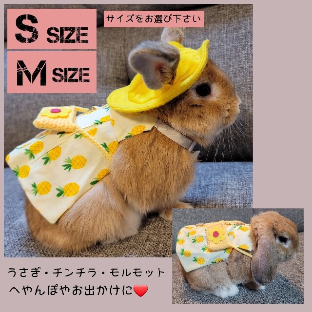 KAWAI C・A・T がじがじフェンス S サイズ ウエイトトレーニング KAWAI C・A・T がじがじフェンス S サイズ