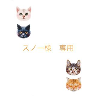 カオウ(花王)の花王 フレアフレグランスIROKA ネイキッドリリー 詰替用 710ml×2袋(洗剤/柔軟剤)