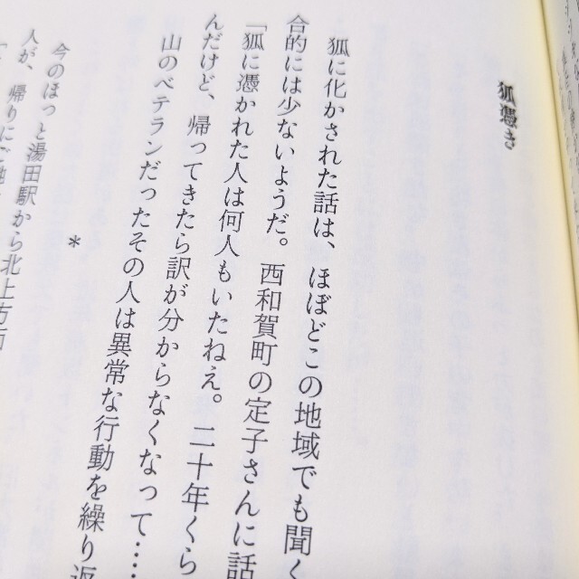 【山怪 】山人が語る不思議な話／田中康弘著 エンタメ/ホビーの本(趣味/スポーツ/実用)の商品写真