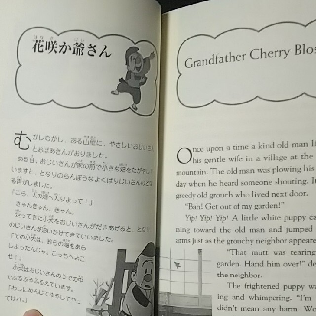 花咲爺 
「Grandfather cherry-blossom」