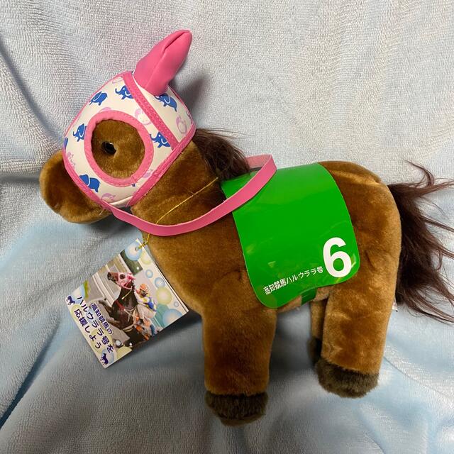 高知競馬 ハルウララ ハルウララ号を応援しよう ぬいぐるみの 高知競馬 ハルウララ ハルウララ号を応援しよう ぬいぐるみの