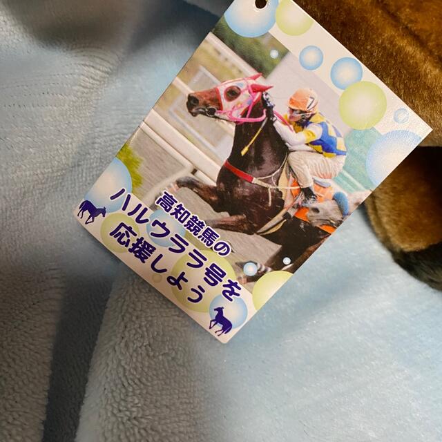 高知競馬 ハルウララ ハルウララ号を応援しよう ぬいぐるみの 高知競馬 ハルウララ ハルウララ号を応援しよう ぬいぐるみの