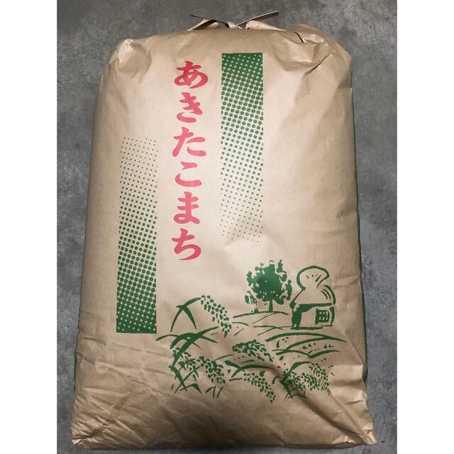 令和4年 秋田県産 新米 あきたこまち 減農薬有機栽培米 玄米30kg 精米無料-