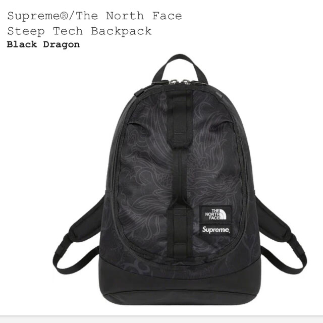 Supreme The North Face Backpack