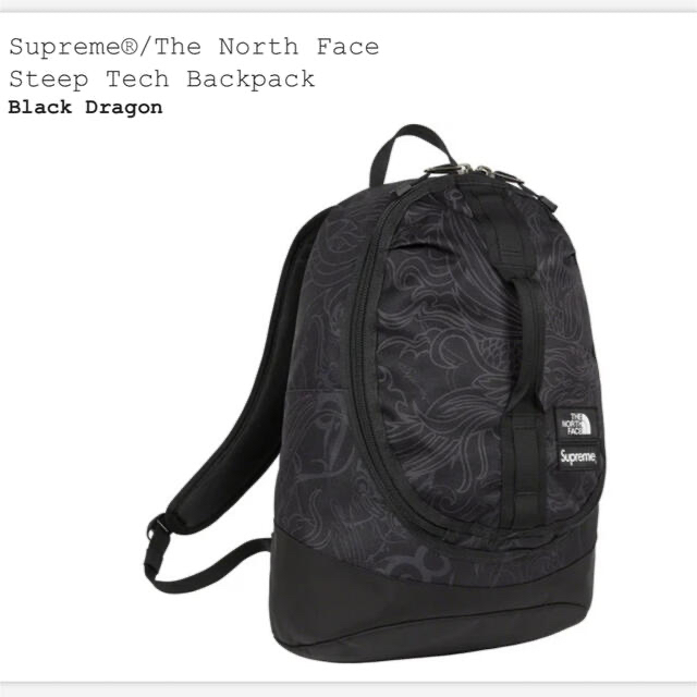 Supreme The North Face Backpack 1