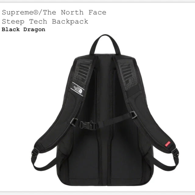 Supreme The North Face Backpack 2