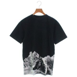 ホワイトマウンテニアリング メンズ Tシャツ  アウトドア Mサイズ