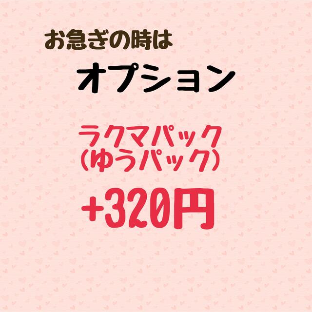 コンサート ジャンボうちわ 黒 (艶なし) 無地 ６本セット エンタメ/ホビーのタレントグッズ(その他)の商品写真