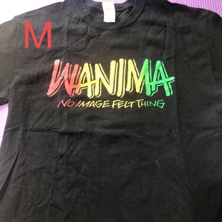 ワニマ(WANIMA)のWANIMA  Tシャツ！Mサイズ(ミュージシャン)